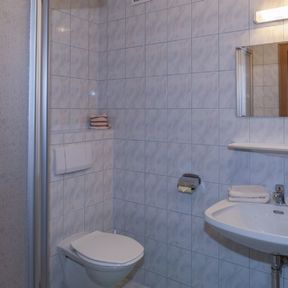 Haus Schönegger in Dorfgastein - Appartment 2 / Ferienwohnung 2
