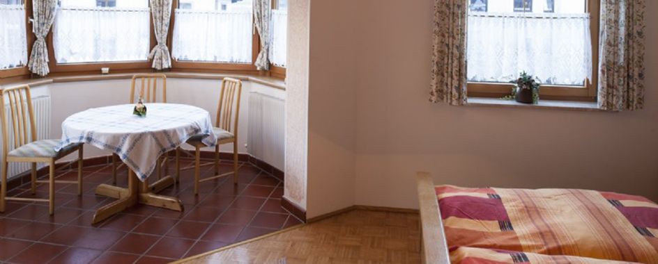 Haus Schönegger in Dorfgastein - apartment