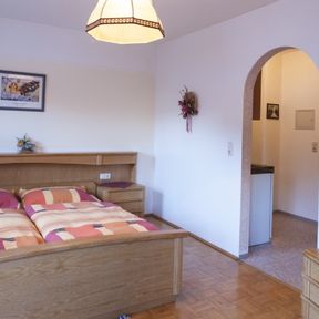 Haus Schönegger in Dorfgastein - Appartment 1 / Ferienwohnung 1