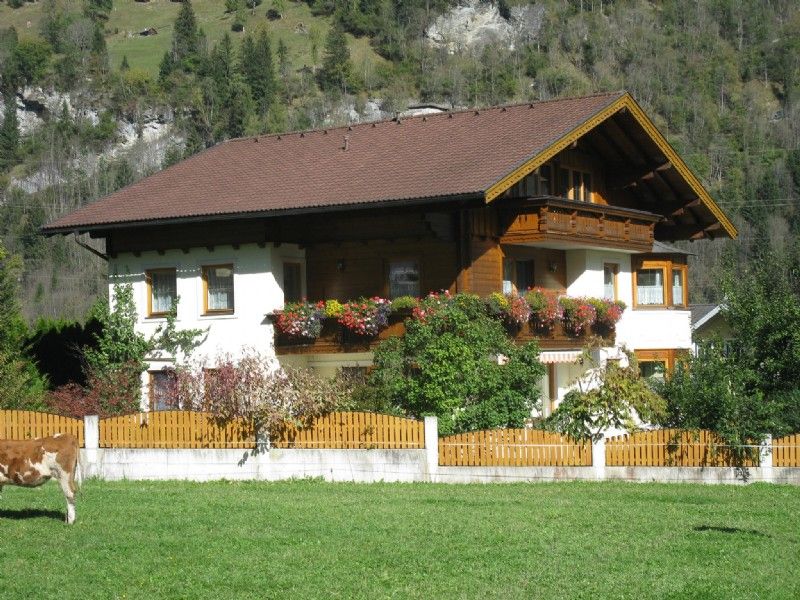 Haus Schönegger in Dorfgastein