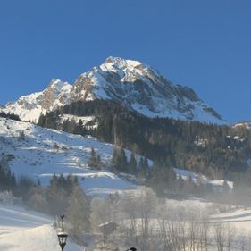 Haus Schönegger in Dorfgastein